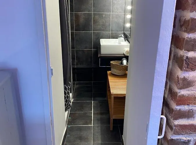 Le Ti Wi En Plein Coeur Du Vieux Bassin Apartment